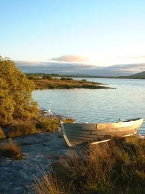 S5.Lough Bunny
