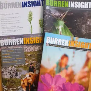 Limited-edition Burren Insight Magazines (set of 4)