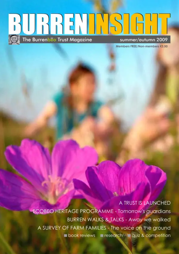 Limited-edition Burren Insight Magazines (set of 4) - Image 2