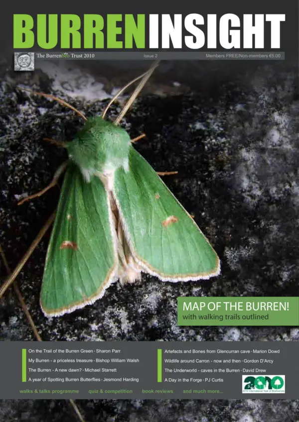 Limited-edition Burren Insight Magazines (set of 4) - Image 3