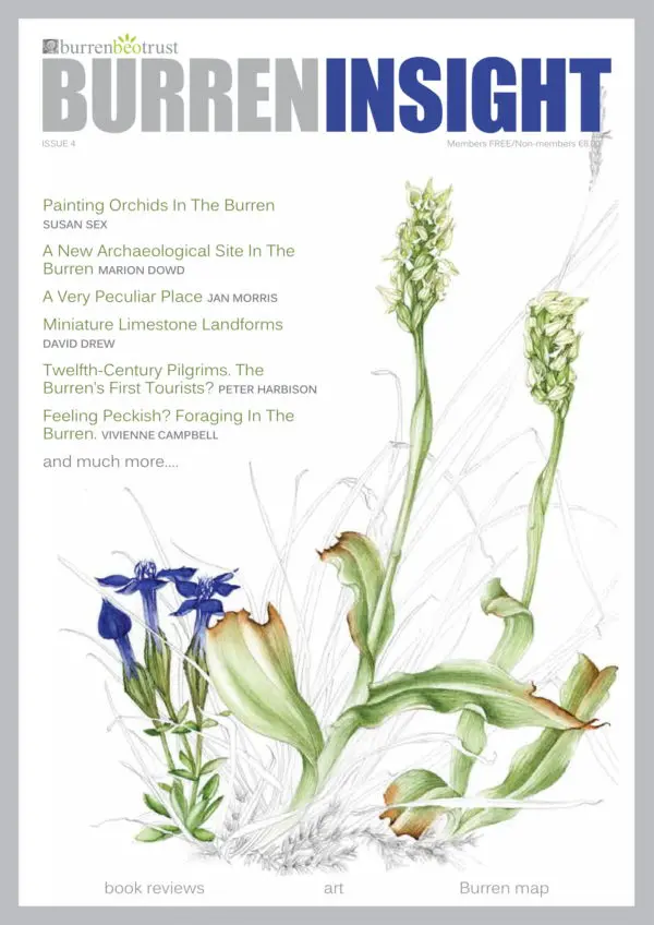 Limited-edition Burren Insight Magazines (set of 4) - Image 4