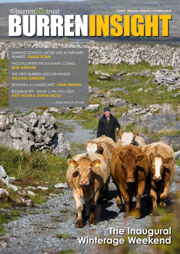 Limited-edition Burren Insight Magazines (set of 4) - Image 5
