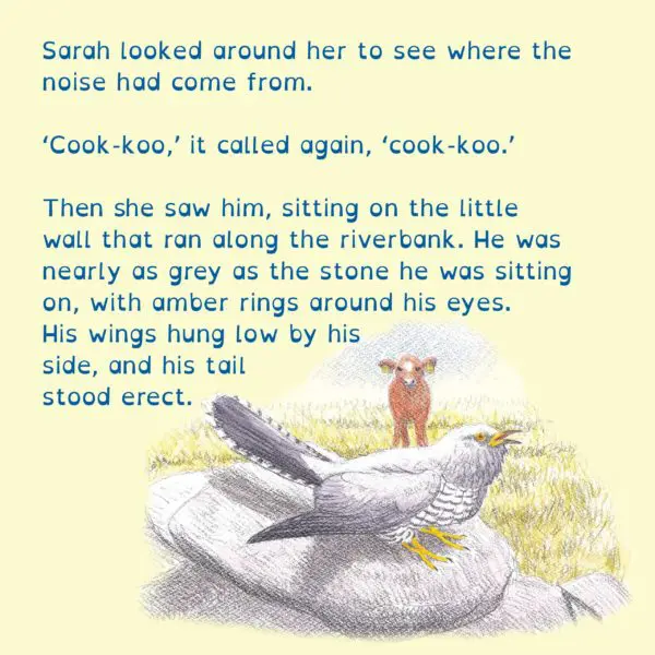 Children's book: The Calf and the Cuckoo - Image 2