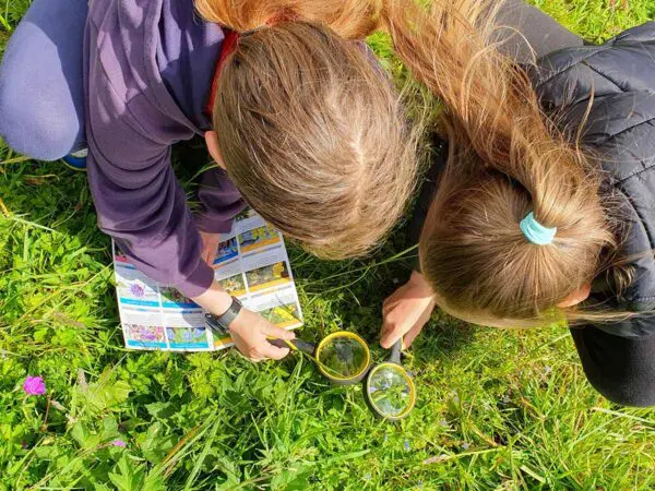 Two children with magnifying glasses taking part in the Calf and Cuckoo programme from the Burrenbeo Trust
