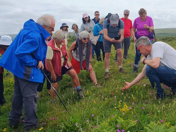People in the Burren looking at wildflowers in grassland