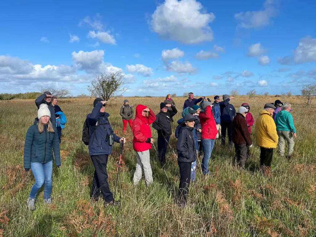 People learning about the workings of a Burren farm